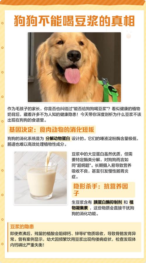 狗狗能喝豆浆吗