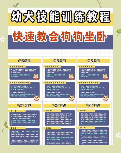 如何训练狗狗学会坐下和趴下?
