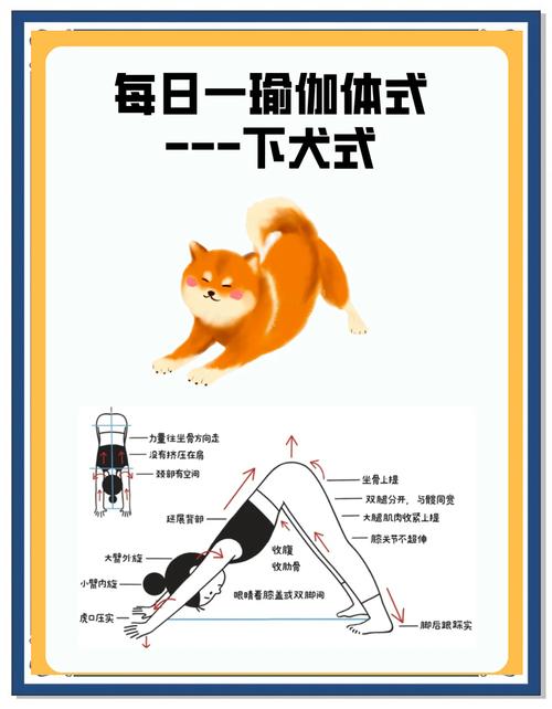 如何训练狗做好“坐下”,“爬下”,“过来”,“打滚”等动作!