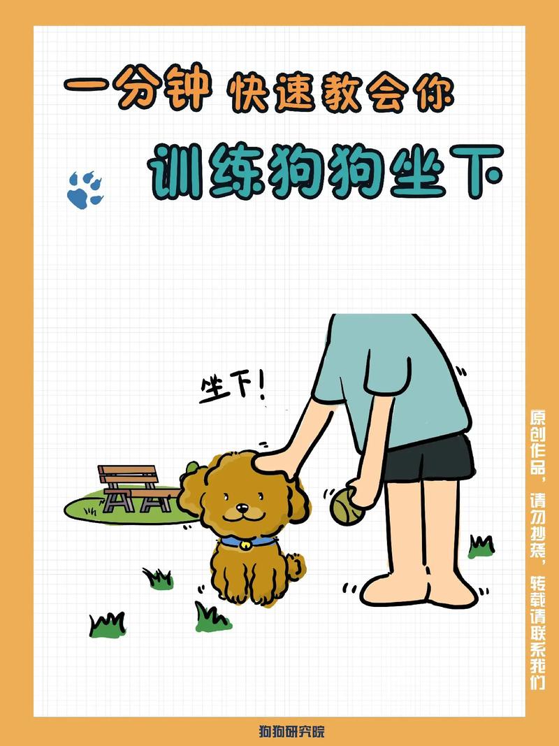 豆柴miso学会坐下、握手和等食经验谈