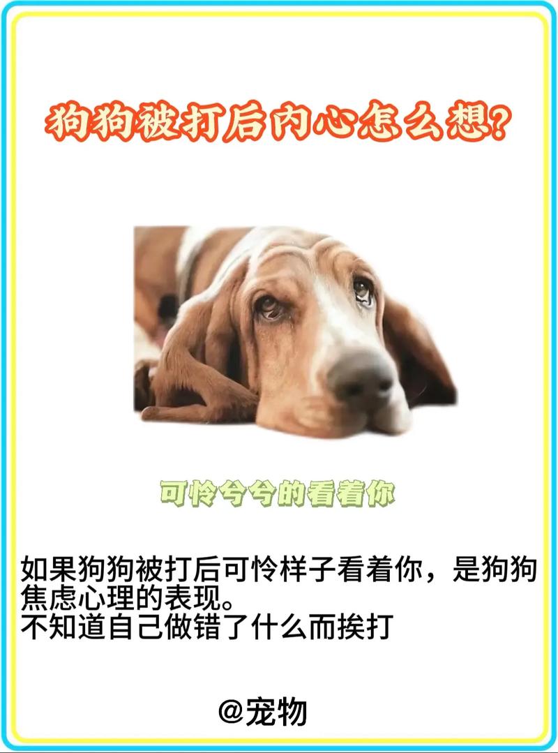 狗狗挨打后的心理是怎样的?