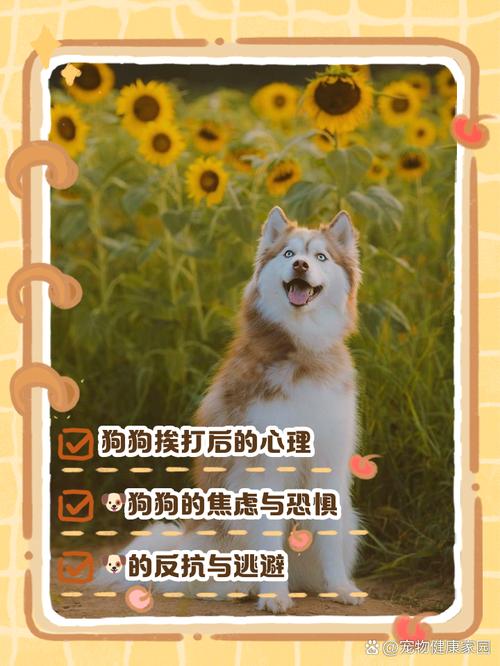 狗狗犯错挨打后在想什么?一文告诉你