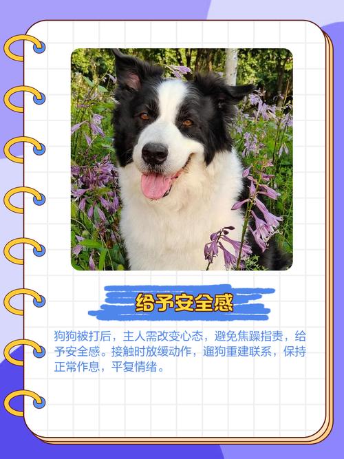 狗狗被打后的心理?
