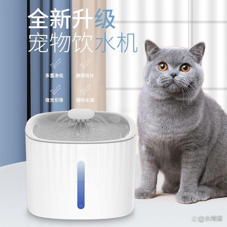 猫喂生水还是白开水