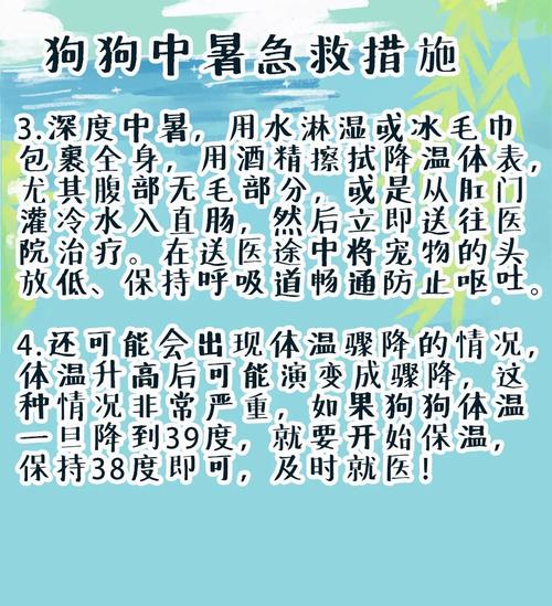 高温来袭!这10种狗狗要注意避暑!