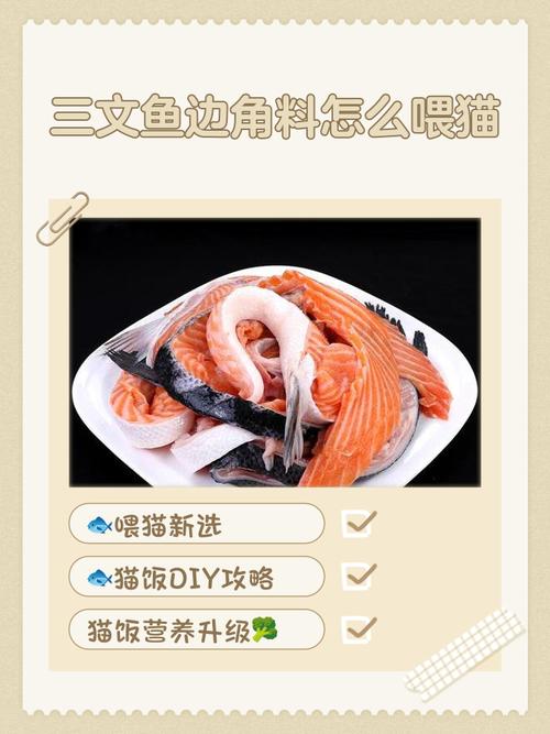 三文鱼边角料怎么喂猫