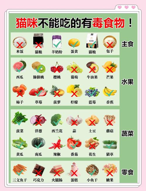 给猫咪买什么鱼吃