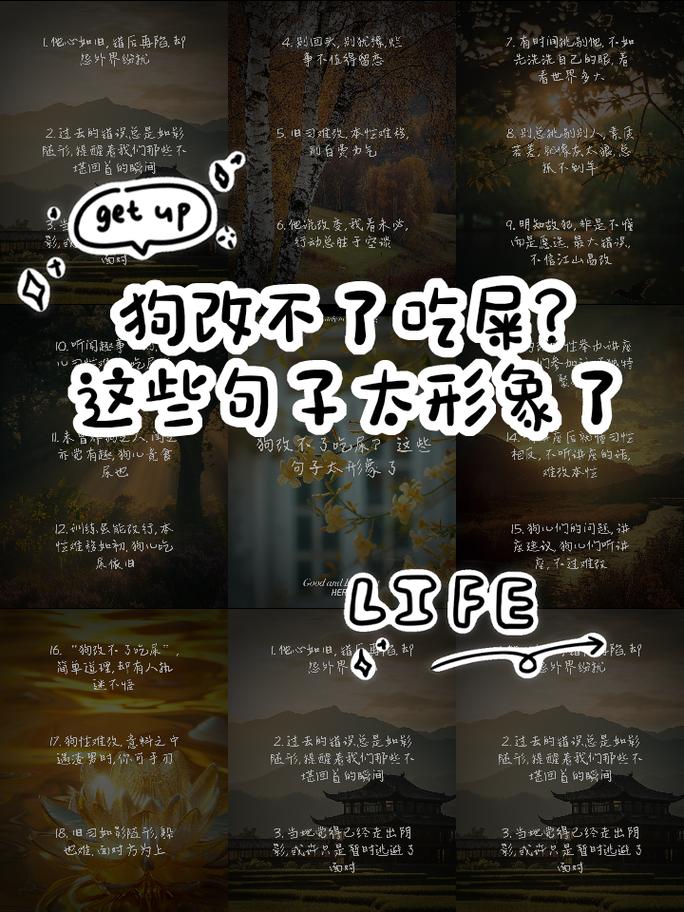 狗狗吃屎要怎么纠正