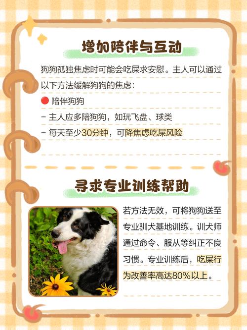 如何制止狗吃自己的屎?