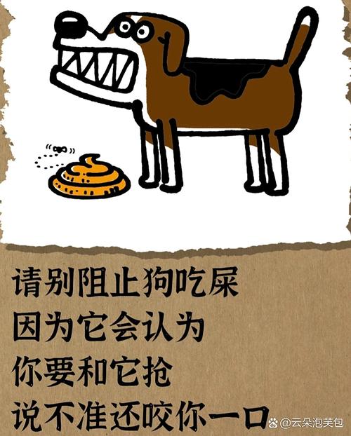 怎么阻止狗狗吃屎