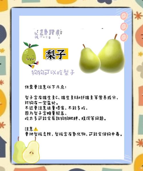 狗狗可以吃梨子吗