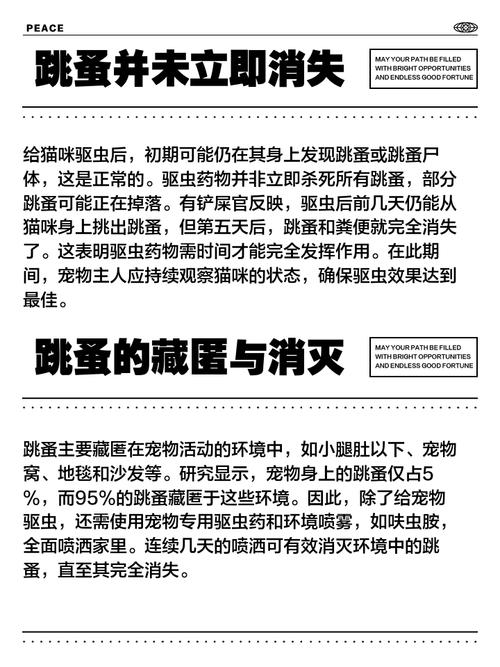 猫身上跳蚤怎么彻底去除
