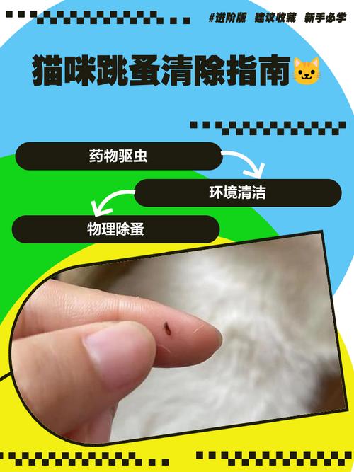 去除猫咪跳蚤最简单的方法