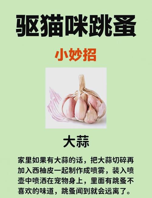 猫咪去跳蚤最简单的方法