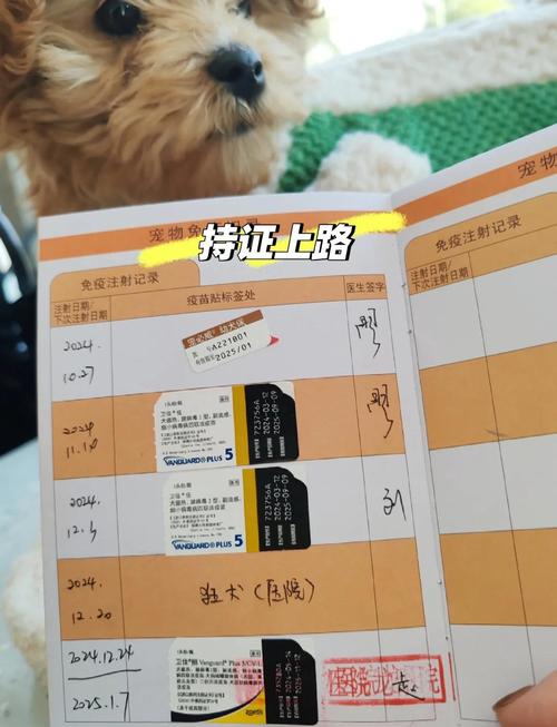 狗狗隔多久打一次疫苗