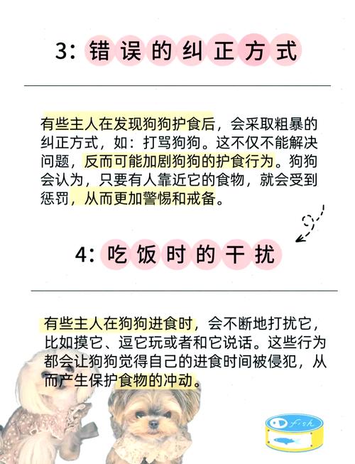 如何训练狗狗护食的坏习惯,纠正宠物狗狗护食的小恶习