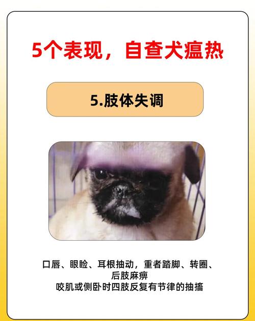 怎样辨别狗狗的犬瘟热?