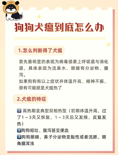 犬瘟是什么原因引起的