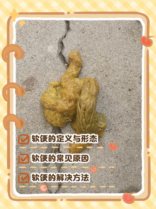 狗狗为什么会拉软便?
