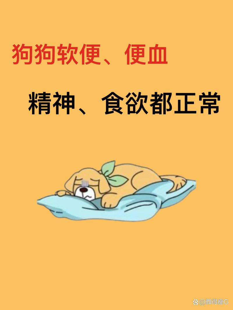狗狗拉屎软便但成型