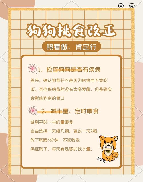 泰迪挑食不吃狗粮怎么办