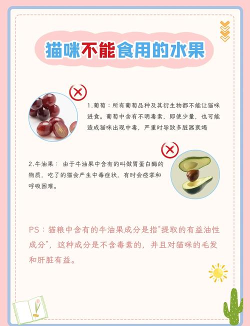 猫咪不能吃哪些水果?为什么?