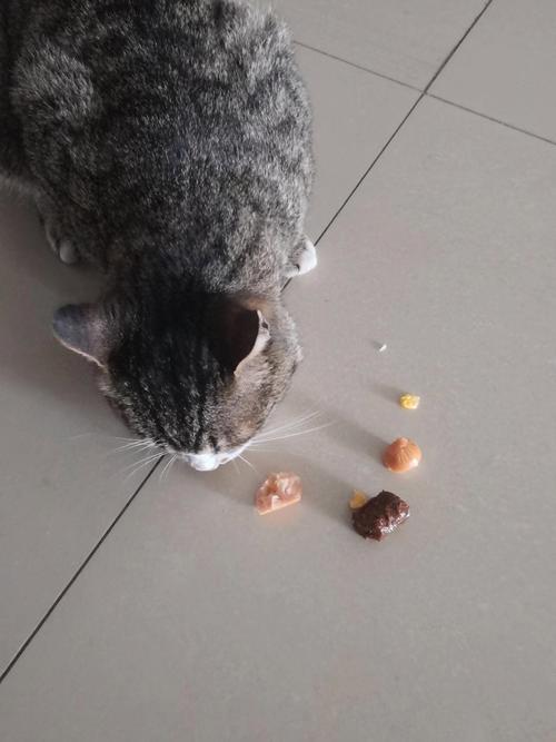 猫吃了一颗提子会死吗