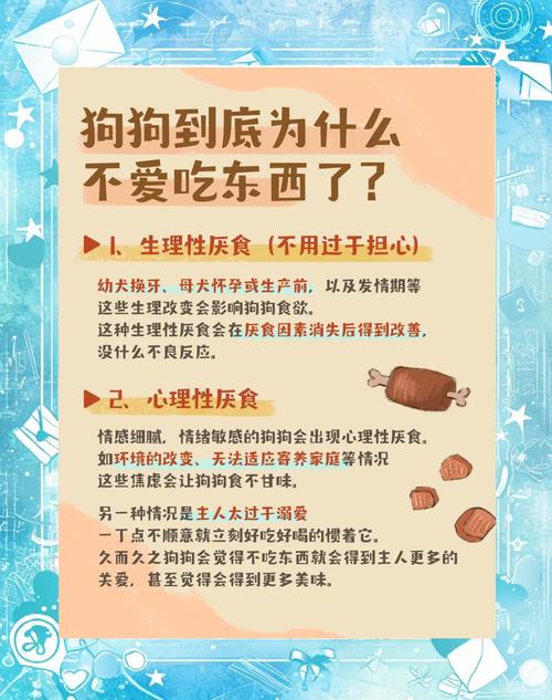 狗狗可以吃鸡胗吗