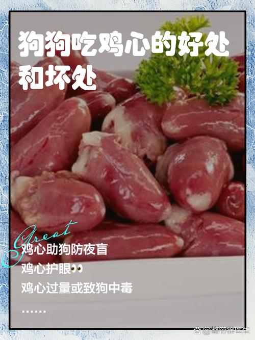 狗狗吃鸡心好还是鸡胗好?有什么区别?