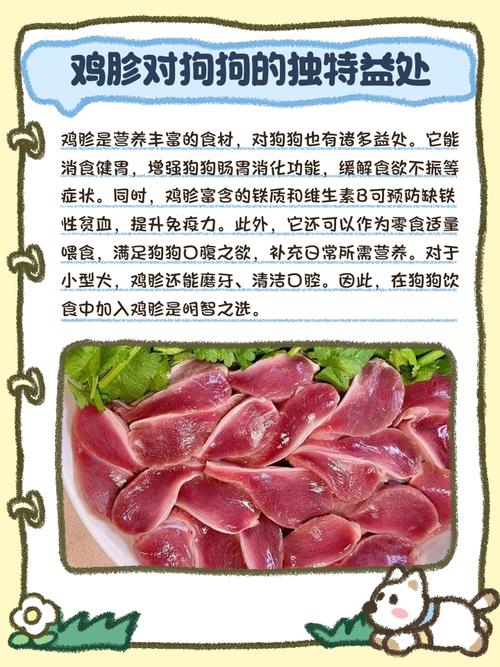 狗狗能吃鸡胗吗