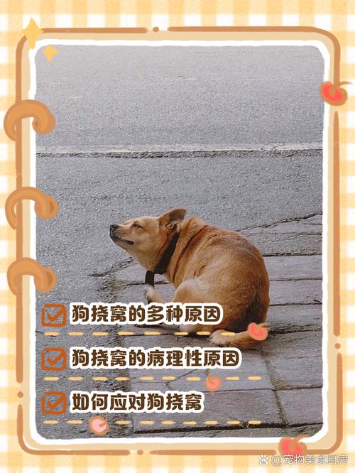 狗狗拼命挠床什么原因?