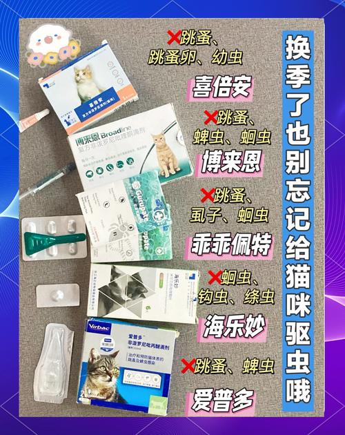 小猫驱虫一次大概多少钱呢?