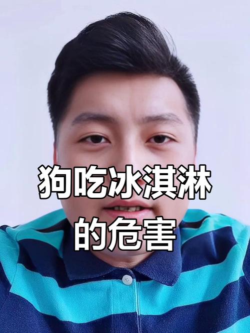 狗能吃冰淇淋吗