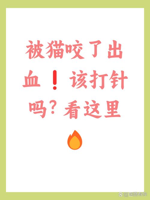 猫咬到手出血了需要打疫苗吗