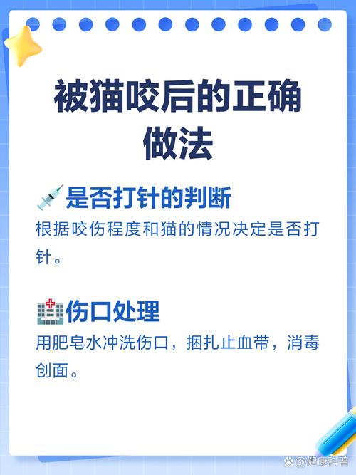 被自己家猫咬了到底用不用打针