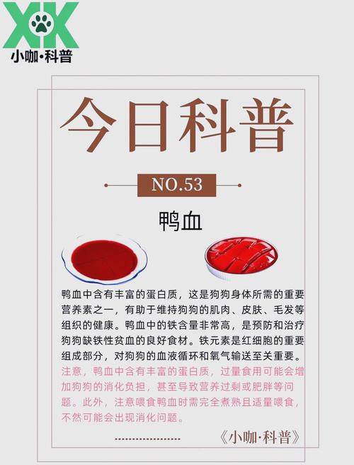 鸭血怎么处理才能喂给狗子吃?