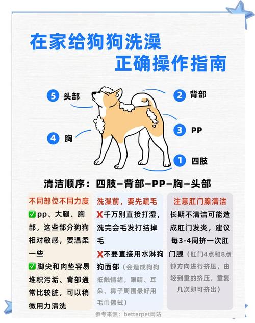 怎么给狗狗洗澡比较好