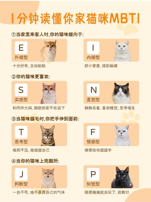 什么品种的猫会粘人?