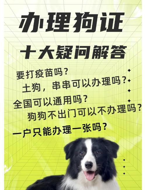 养狗狗的狗证该如何办理呢?