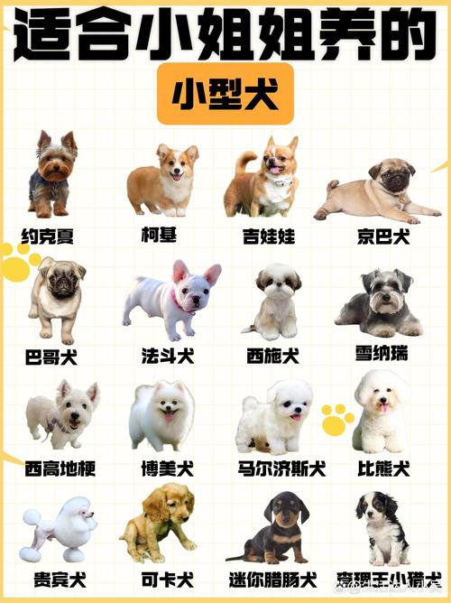 哪些狗适合小孩养