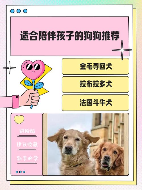 适合陪伴孩子的六种狗狗