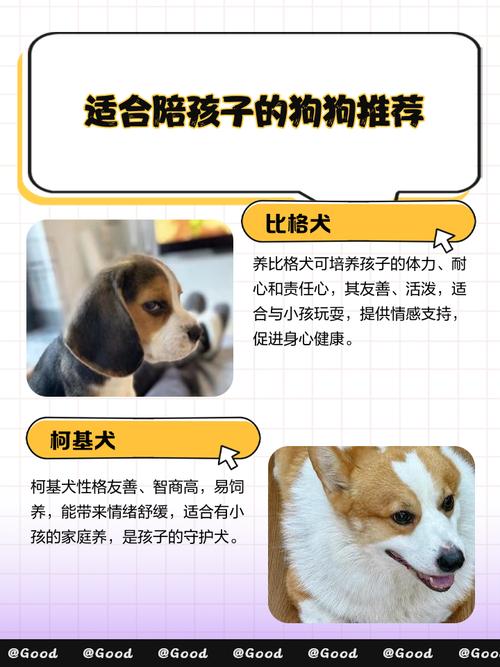 适合陪伴孩子的宠物有哪些