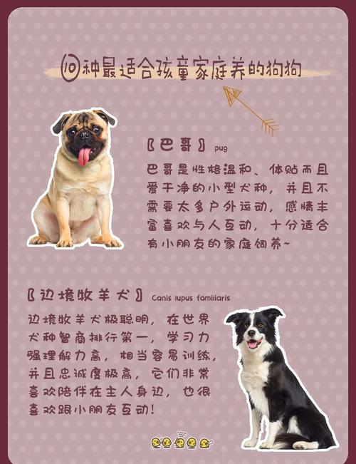 家里有孩子想养狗,有哪些性格温顺的狗狗品种推荐呢?