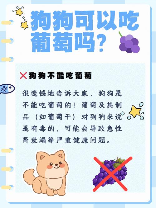 狗狗绝对不能吃的18种食物