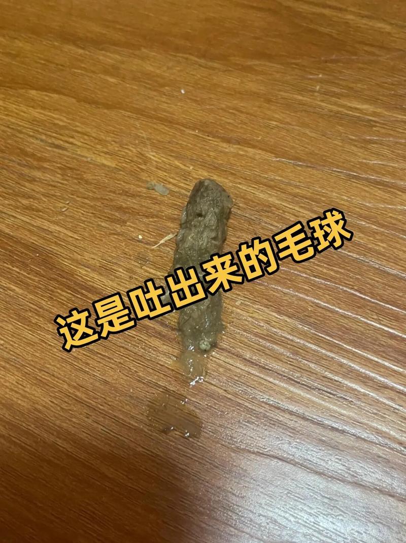 猫咪吐毛球是什么样的