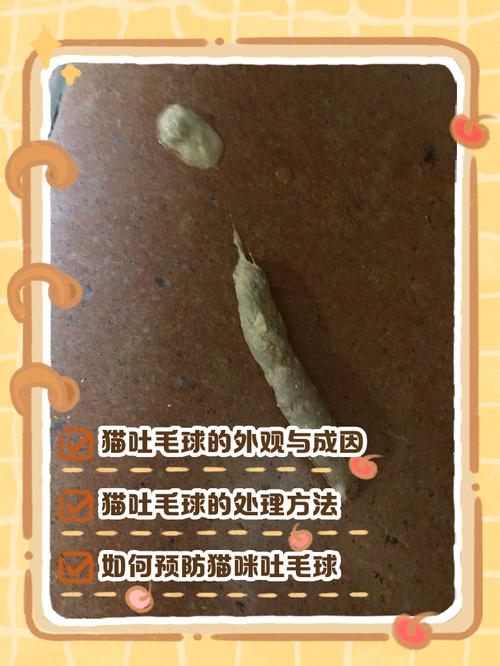 猫咪吐出来的毛球是什么样的