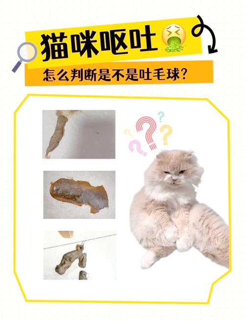 猫吐毛球什么症状,猫吐毛球的症状主要有那些表现