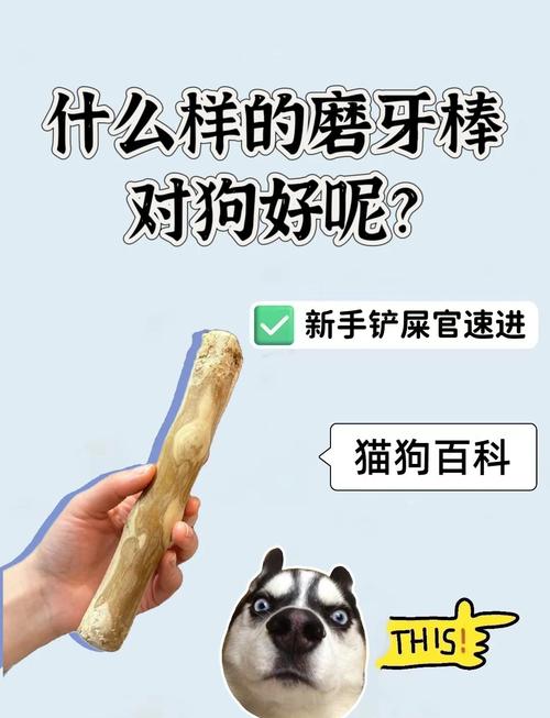 两个多月狗狗,可以吃磨牙棒吗?