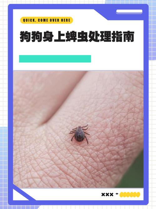 怎么知道狗狗身上有没有蜱虫呢