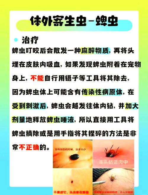 如何判断狗狗有无蜱虫?